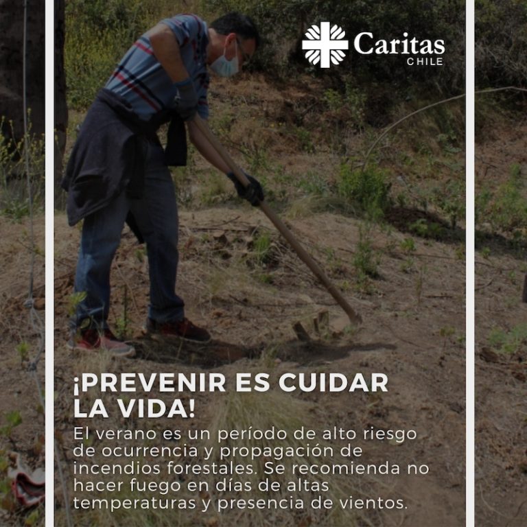 Caritas Chile insiste en llamado a trabajar y prevenir los incendios forestales